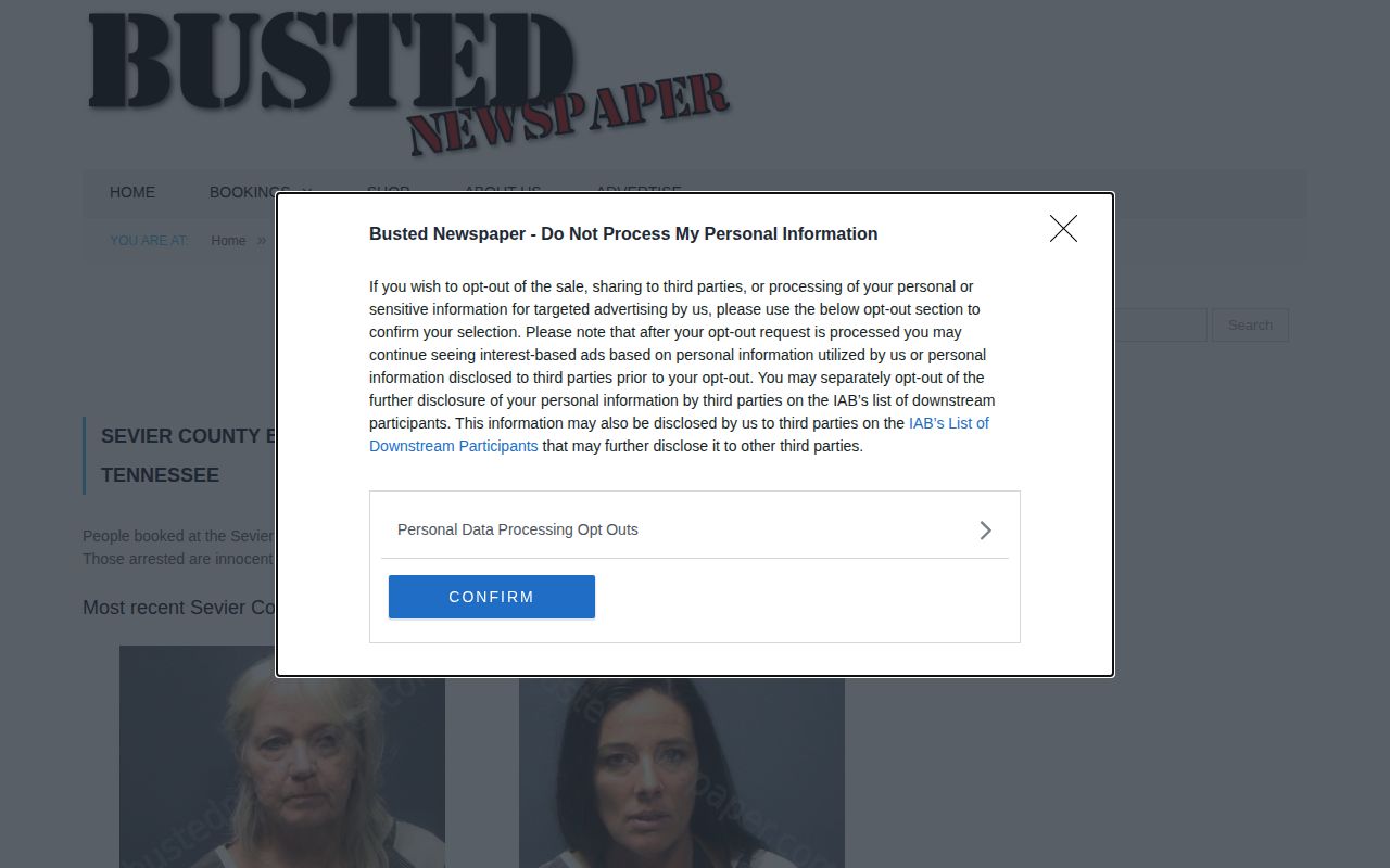 Unofficial Sevier County arrest report index